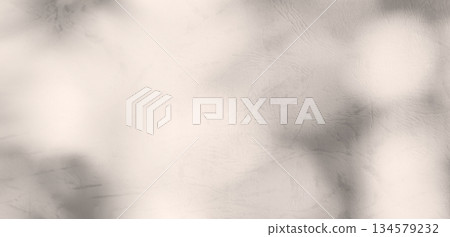 Shadow Pink Premium Gradation Beige Background Texture blur Gradient Light Pastel Abstract Luxury Premium Mockup Peach Color Backdrop Template Valentine Summer Spring Overlay Neon Pink Flower Rose. 134579232