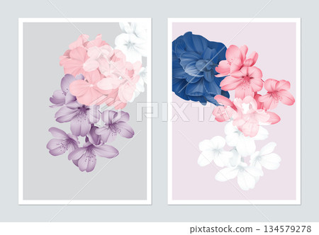 Botanical poster design, sakura, Pelargonium zonale and Semi-double Camellia Botanical poster design, sakura, Pelargonium zonale and Semi-double Camellia 134579278