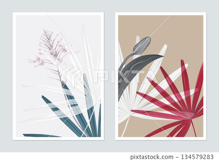 Botanical poster design, Rhapis excelsa leaves and flowers 134579283