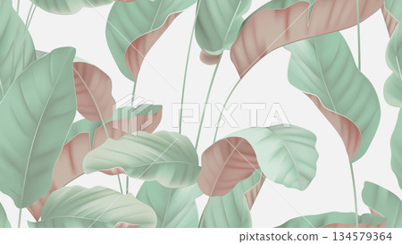 Foliage seamless pattern, tropical plants on bright grey 134579364