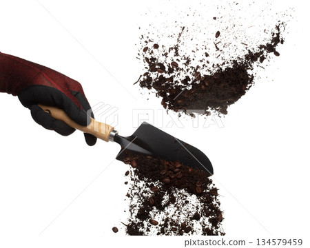 Fertilizer Coffee bean seed powder mixed soil fly fall in shovel, Fertilizer Coffee bean soil for planting float in air. Fertilizer Coffee bean throw in mid air. White background isolated high speed 134579459