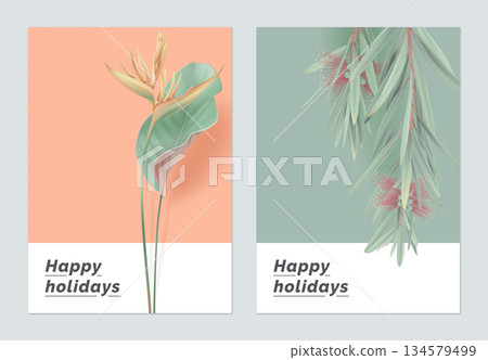 Minimalist botanical greeting card template design, heliconia rostrata and bottle brush tree 134579499