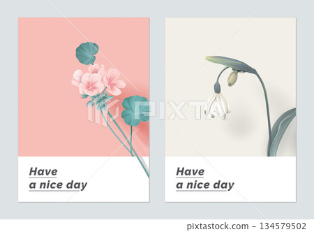 Minimalist botanical greeting card template design, Pelargonium zonale and snowdrop Minimalist botanical greeting card template design, Pelargonium zonale and snowdrop 134579502