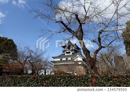 犬夜城城堡塔 134579503