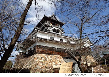 Inuyashiro castle tower 134579505