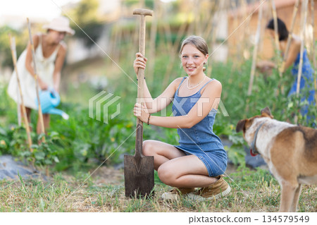 Girl and mongrel dog near bed of greenhouse plants. Two garden plot workers are busy in background 134579549