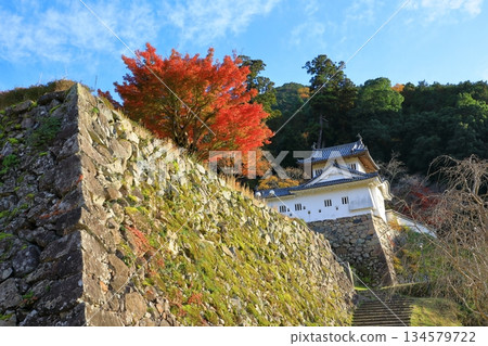 Izushi Castle Ruins Honmaru West-end Omakir Izushi Castle Ruins Honmaru West-end Omakir 134579722