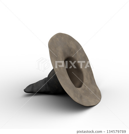 Witch or Wizard Magic Hat. 3D Illustration. File with Clipping Path. 134579789