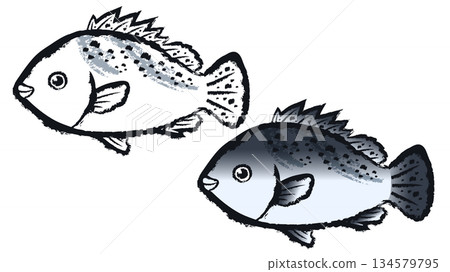 辣椒骰子 134579795