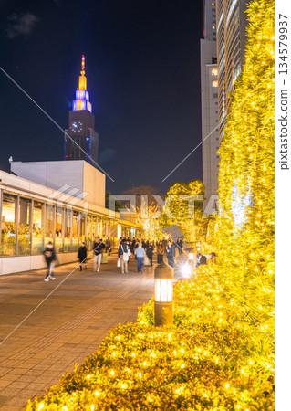 <東京>新宿冬季燈光秀 134579937