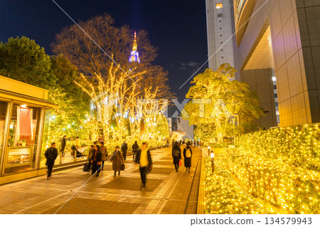 <東京>新宿冬季燈光秀 134579943