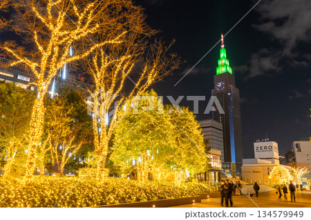 <東京>新宿冬季燈光秀 134579949