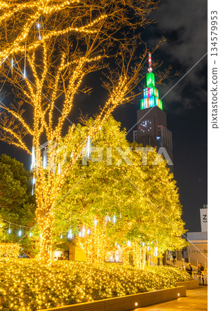 <東京>新宿冬季燈光秀 134579953