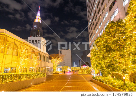 <Tokyo> Shinjuku Winter Illuminations <Tokyo> Shinjuku Winter Illuminations 134579955