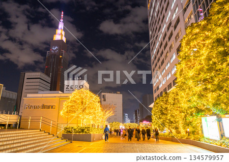 <東京>新宿冬季燈光秀 134579957