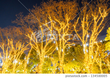 <Tokyo> Shinjuku Winter Illuminations <Tokyo> Shinjuku Winter Illuminations 134580005