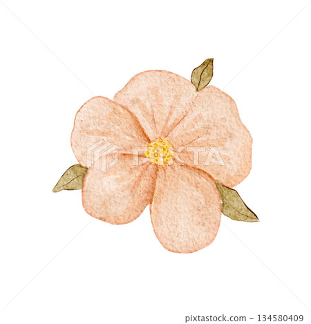 Peach flower watercolor illustration with soft textured petals and green leaves, hand-painted and isolated on white, ideal for wedding stationery, feminine branding, spring decor, invitations, cards Peach flower watercolor illustration with soft textured petals and green leaves, hand-painted and isolated on white, ideal for wedding stationery, feminine branding, spring decor, invitations, cards 134580409