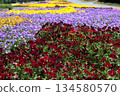 Spring garden scenery with colorful flower fields 134580570