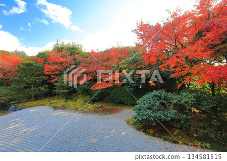[Kyoto Prefecture] Autumn leaves in the south garden of Entoku-in Temple on a clear day 134581515