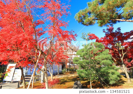 [Kyoto Prefecture] Kodaiji Temple's kuri and autumn leaves on a clear day 134581521