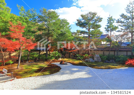 【京都府】晴朗天氣下的高台寺八神亭庭園與秋葉 134581524