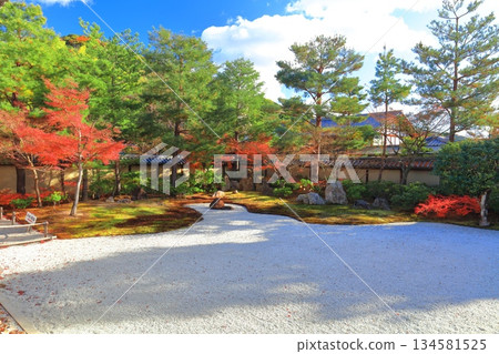 【京都府】晴朗天氣下的高台寺八神亭庭園與秋葉 134581525