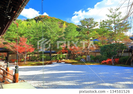 【京都府】晴朗天氣下的高台寺八神亭庭園與秋葉 134581526