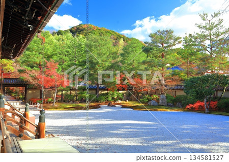 【京都府】晴朗天氣下的高台寺八神亭庭園與秋葉 134581527