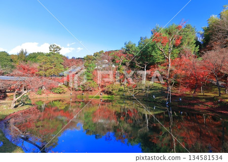 [Kyoto Prefecture] Garyu Pond and autumn leaves at Kodaiji Temple on a clear day 134581534
