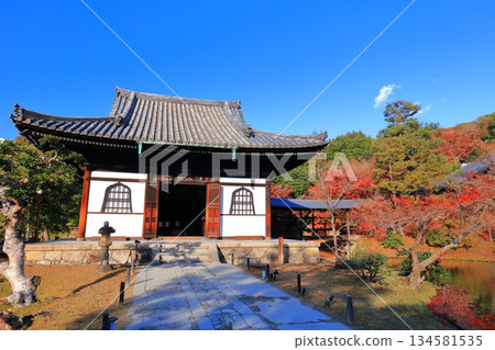【京都府】晴朗天氣下的高台寺海參堂與秋葉 134581535