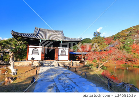 [Kyoto Prefecture] The Kaisando Hall of Kodaiji Temple on a clear day and the autumn leaves 134581539