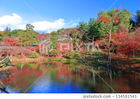[Kyoto Prefecture] Garyu Pond and autumn leaves at Kodaiji Temple on a clear day 134581543