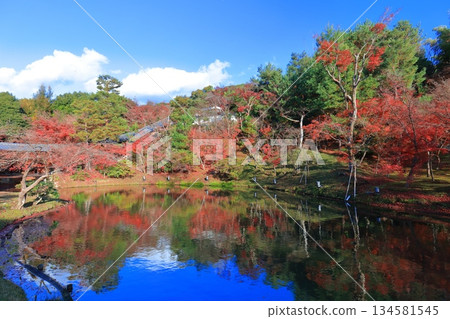 [Kyoto Prefecture] Garyu Pond and autumn leaves at Kodaiji Temple on a clear day 134581545
