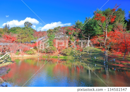 【京都府】晴天時高台寺的牙龍池和秋葉 134581547