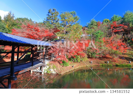 [Kyoto Prefecture] Garyu Pond and autumn leaves at Kodaiji Temple on a clear day 134581552