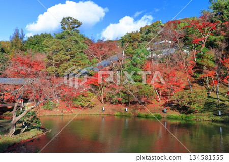 [Kyoto Prefecture] Garyu Pond and autumn leaves at Kodaiji Temple on a clear day 134581555