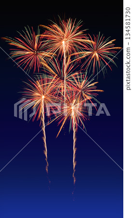 Colorful fireworks celebration and the midnightblue sky background..Size fits the mobile phone screen. 134581730