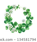 White clover wreath watercolor illustration 134581794