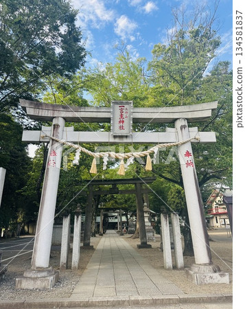 Torii gate of Hitokotonushi Shrine Torii gate of Hitokotonushi Shrine 134581837