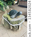 Lucky Turtle at Sakatsuisosaki Shrine 134582024
