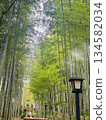 Walk the path of bamboo forest 134582034