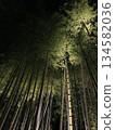 Scenery with bamboo grove 134582036