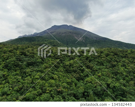 Aerial view of the lush greenery of Sakurajima seen from the middle of Minami-dake Aerial view of the lush greenery of Sakurajima seen from the middle of Minami-dake 134582443