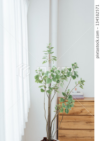 bedroom interior images 134582571