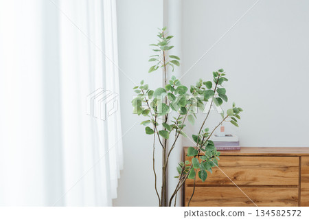 bedroom interior images 134582572