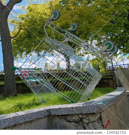 庫爾特跳進樹籬 134582720