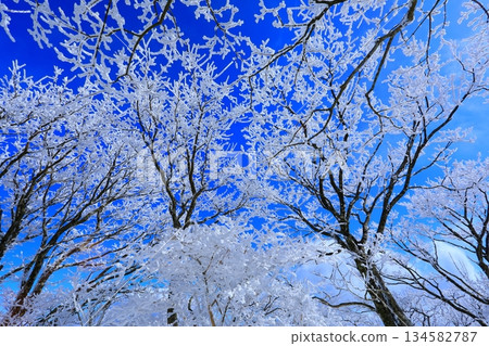 Hoarfrost and blue sky (winter image background material) Hoarfrost and blue sky (winter image background material) 134582787