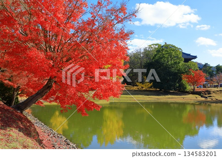 奈良公園，東大寺專區，秋葉和大Dai池 134583201