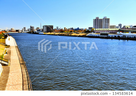 Ogu Bridge / View of Ogunohara Park and Otake Bridge from the Sumida River (Arakawa Ward, Tokyo) [December 2025] 134583614