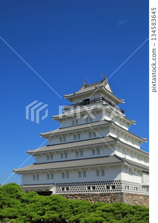 The white Shimabara Castle stands out against the clear blue sky The white Shimabara Castle stands out against the clear blue sky 134583645